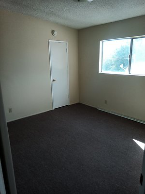 IMG 20241111 131008 437