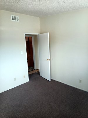 IMG 20241111 130803 481