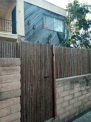 IMG 20241111 130250 499