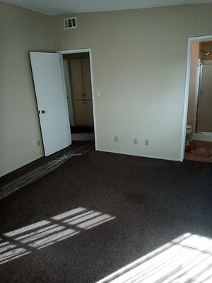 IMG 20241111 131228 362