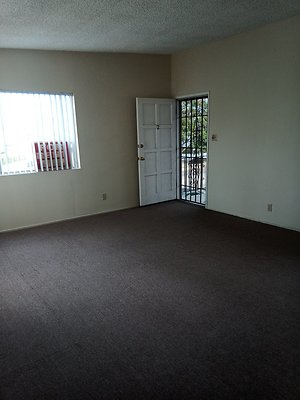 IMG 20241111 130518 475