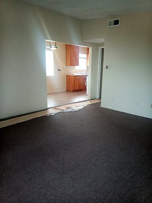 IMG 20241126 104809 574